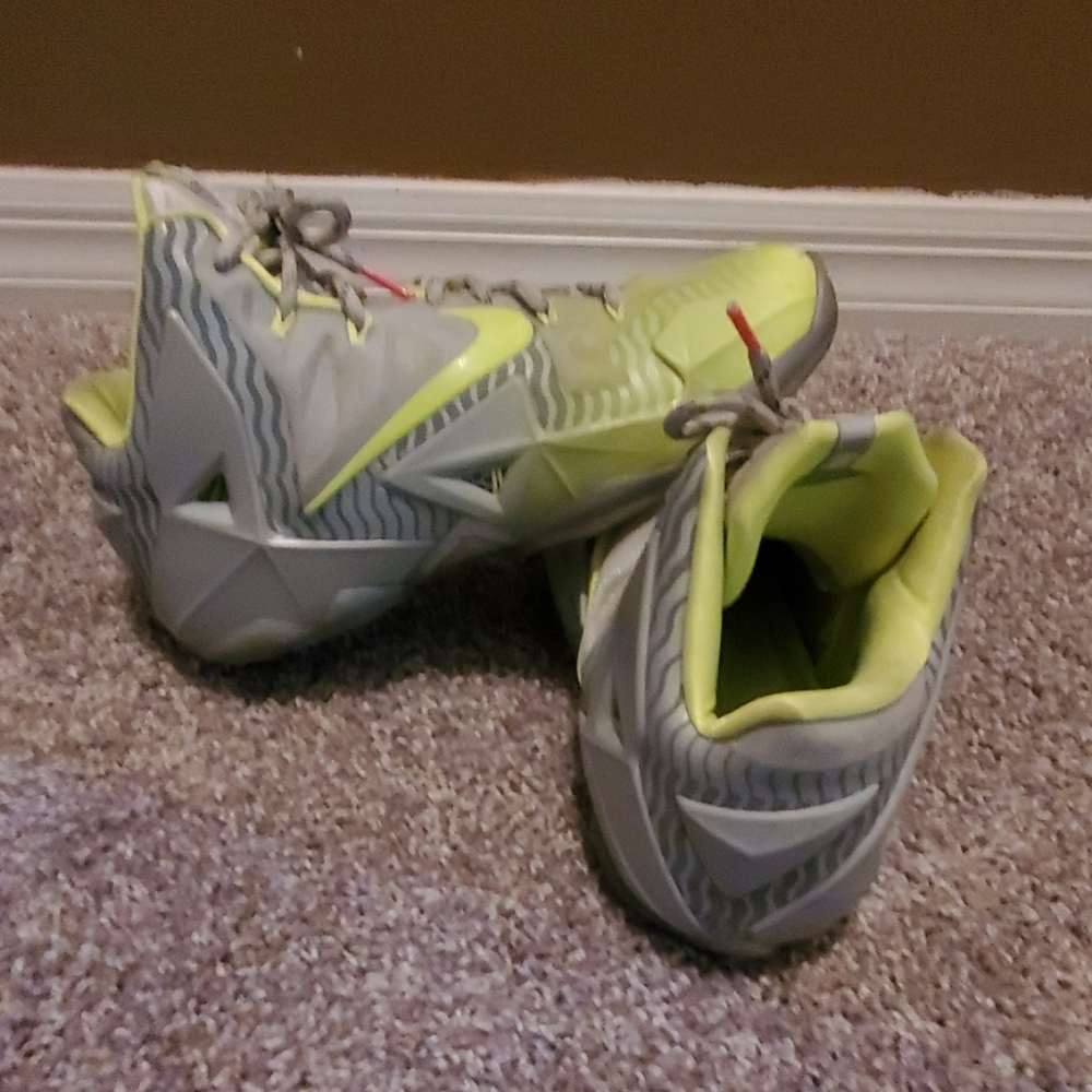 Nike Lebron James shoes